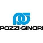 pozzo-ginori